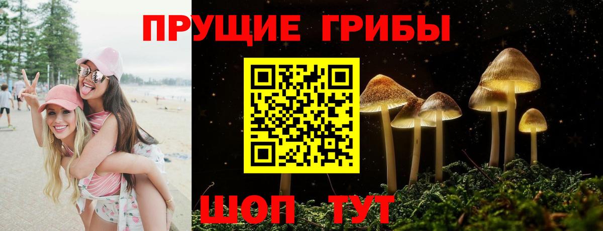 где купить наркоту  Вход с VPN  Лесозаводск  Галлюциногенные грибы GOLDEN TEACHER 